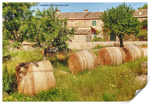 A Farm In Calvia Mallorca Print by Peter F Hunt