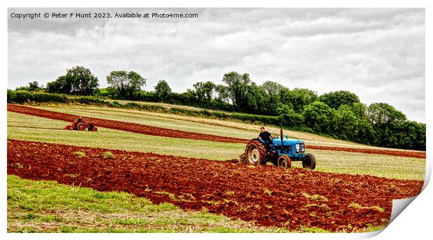 Ploughing The Red Soil Of Devon Print by Peter F Hunt