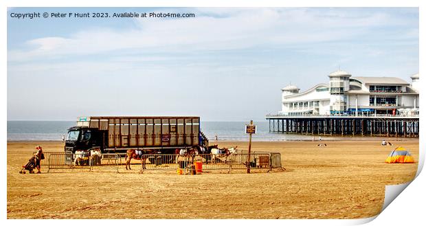 Beach Donkey Rides And A Pier Print by Peter F Hunt