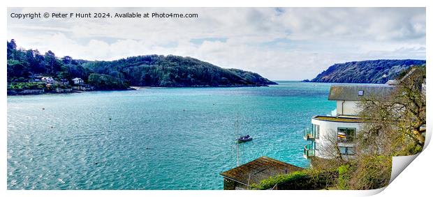 Salcombe on the Kingsbridge Estuary Print by Peter F Hunt