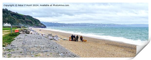 The Beach At Beesands South Devon Print by Peter F Hunt