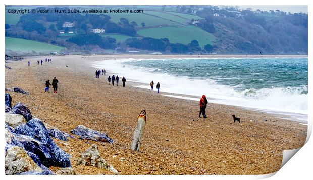 A Wild And Windy Slapton Sands Print by Peter F Hunt