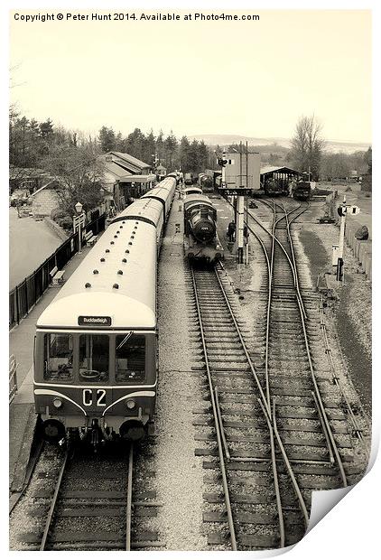 Buckfastleigh Station Devon Print by Peter F Hunt