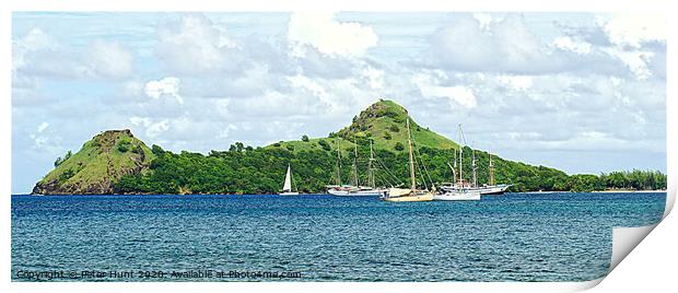 Pigeon Island St Lucia Print by Peter F Hunt