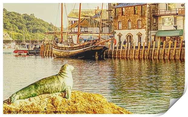 Nelson The Seal At Looe Print by Peter F Hunt