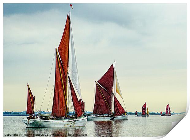 Sailing Home Print by Peter F Hunt