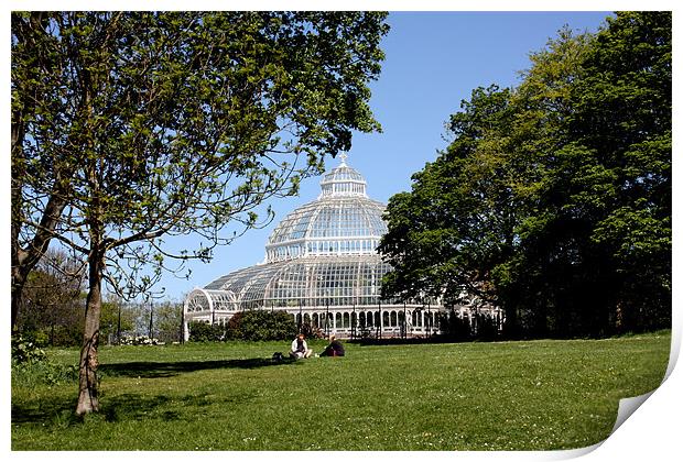 Palm House Print by phillip murphy