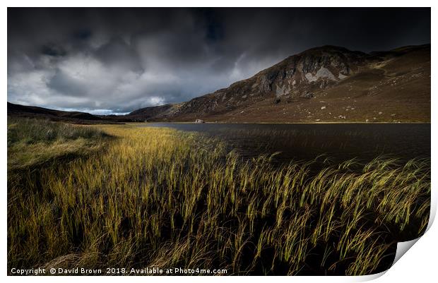 Ben Vrackie after the Storm No8 Print by David Brown