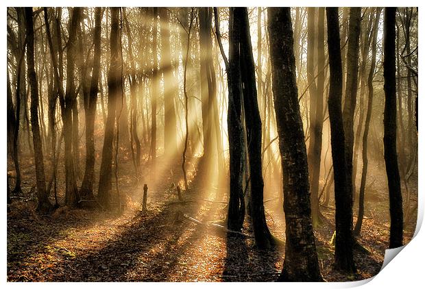 Misty rays Print by Mike Jennings