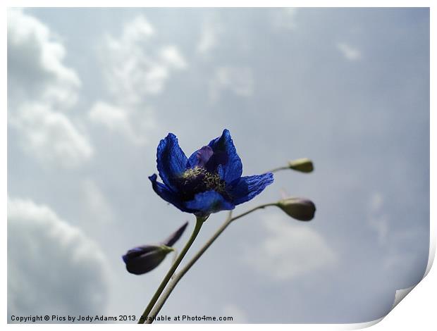 Blue to the Sky Print by Pics by Jody Adams