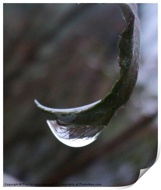 Raindrop Print by Pics by Jody Adams