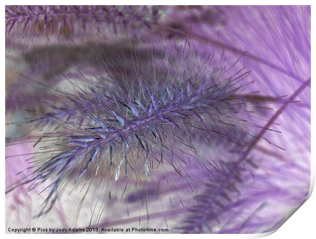 Lavender Grasses Print by Pics by Jody Adams