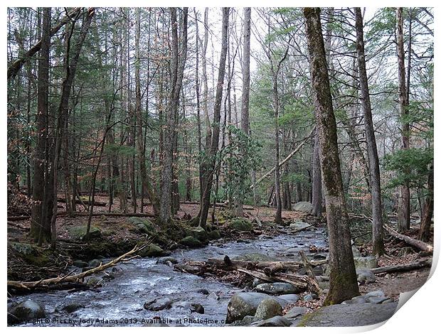 Small Brook Print by Pics by Jody Adams