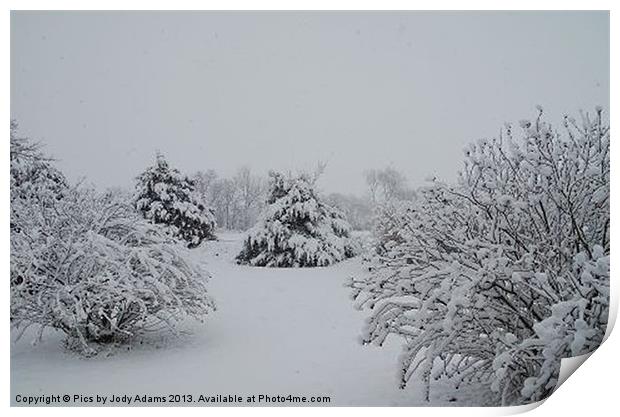 Snow Print by Pics by Jody Adams