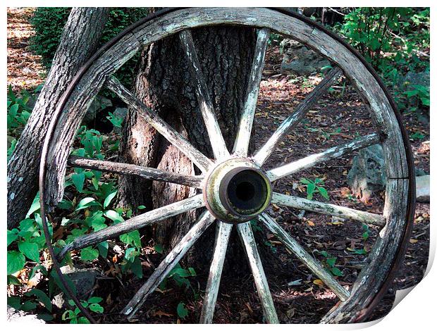 White Wagon Wheel Print by Pics by Jody Adams