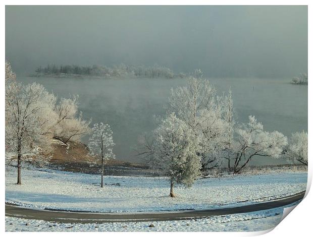Frost on the Trees Print by Pics by Jody Adams