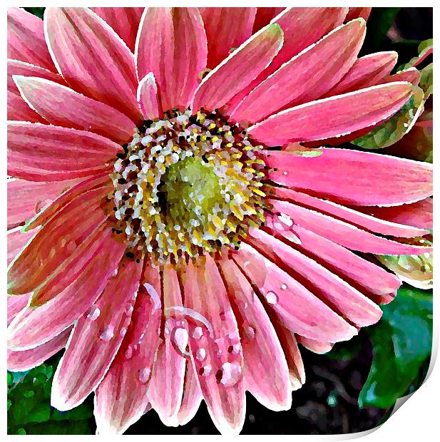 Oil Painting Pink Daisy Print by Pics by Jody Adams
