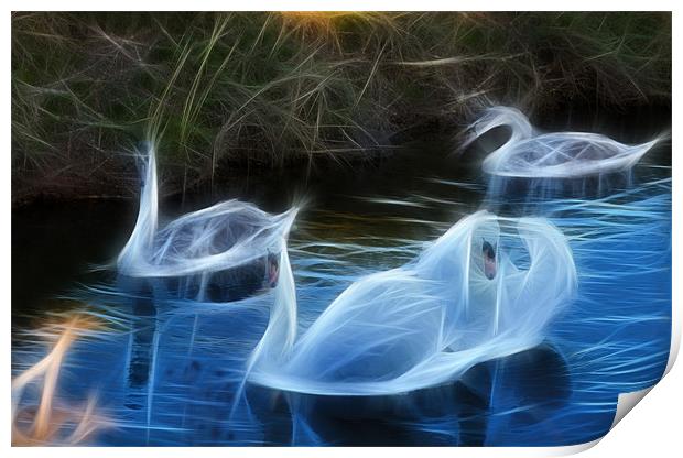 fractal swans Print by kev bates