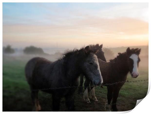 Morning Misty Horses 2 Print by Colin Richards