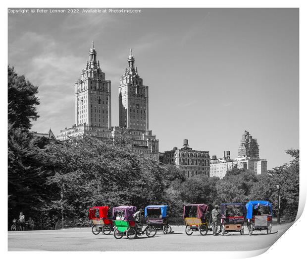 Simply Central Park Print by Peter Lennon