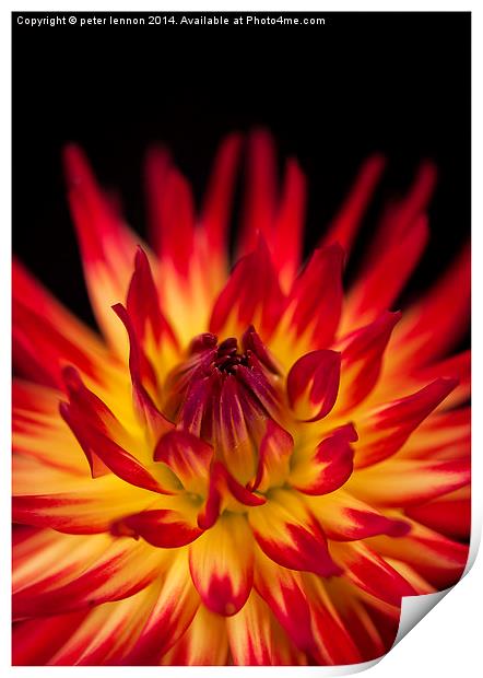  On Fire Print by Peter Lennon