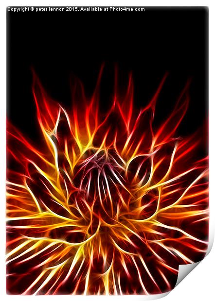  Flaming Fantastic Print by Peter Lennon