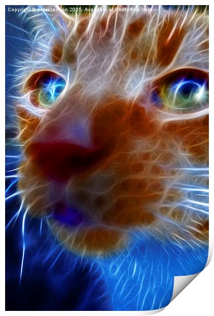  Neon Cat Print by Peter Lennon