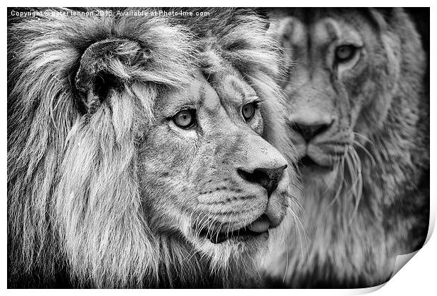  His Majesty Print by Peter Lennon