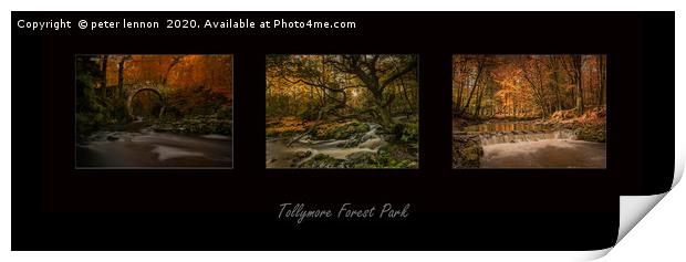Tollymore Tryptch  Print by Peter Lennon