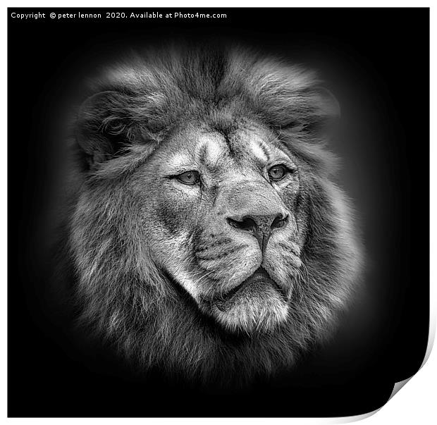 Mufasa Print by Peter Lennon
