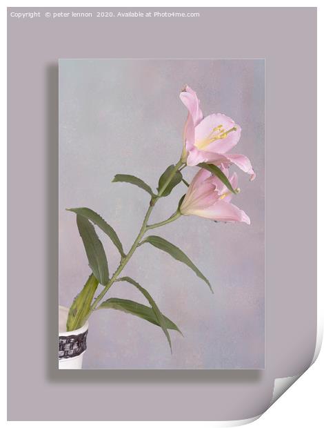 The Lily Print by Peter Lennon