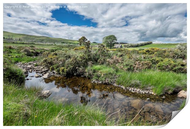 Lower Mournes Cottage Print by Peter Lennon