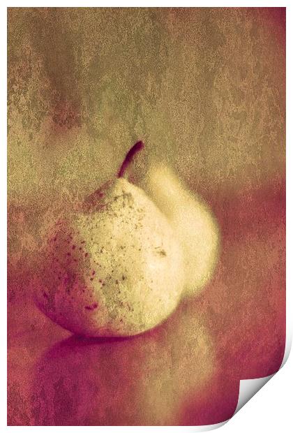 Two Pears Or One Pair Print by Anne Macdonald