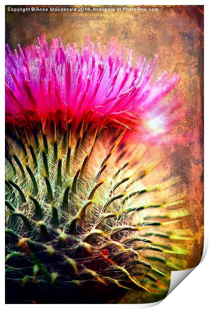  Thistle Be The Prickly One Print by Anne Macdonald