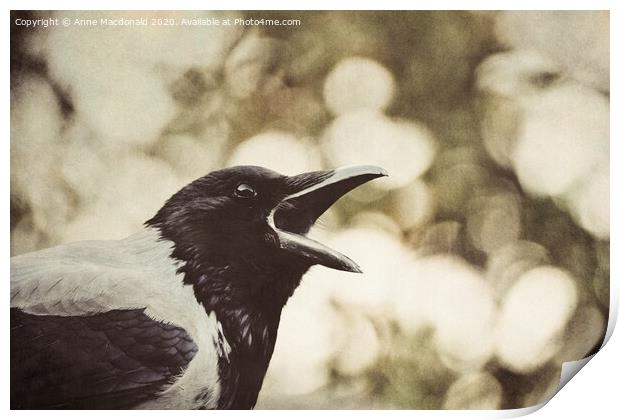 Open Wide - Hooded Crow Yawning Print by Anne Macdonald