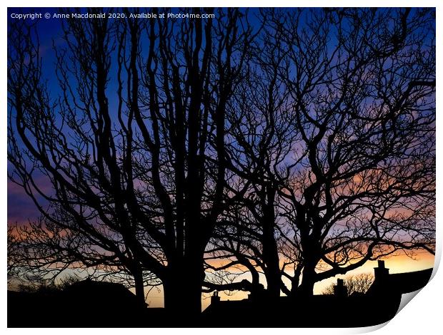 Trees In Silhouette, The Creek, Scalloway. Print by Anne Macdonald