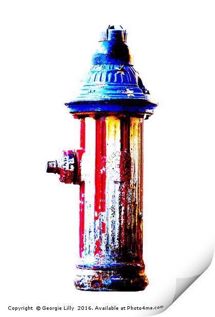                                NYC Hydrant Print by Georgie Lilly