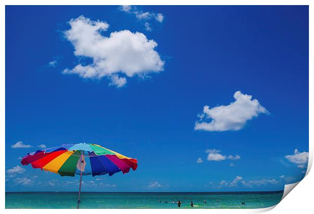 Passa-Grille beach, Pinellas County, Florida Print by Jon Lingwood