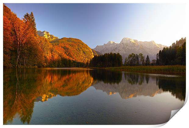 autumn light Print by Silvio Schoisswohl