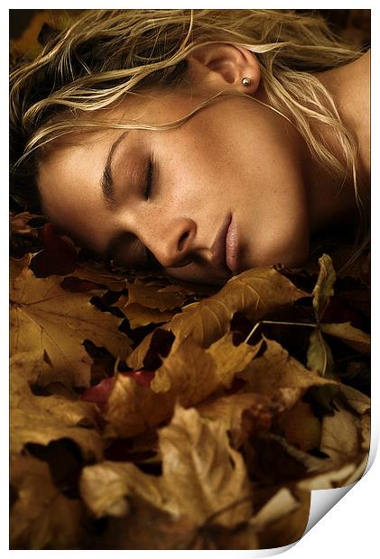 autumn 03 Print by Silvio Schoisswohl