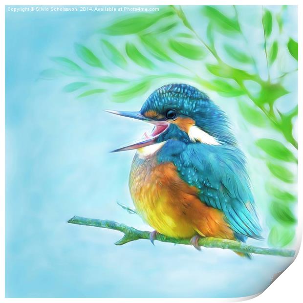  Happy little kingfisher Print by Silvio Schoisswohl