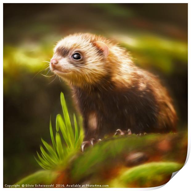 cute ferret Print by Silvio Schoisswohl