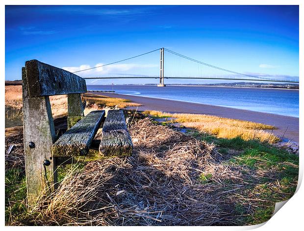 Sentinal of the Humber Print by P D