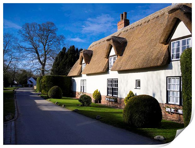Charming Thatched Cottage in North East Lincs Print by P D