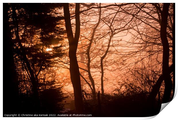 Winter sun lighting up the fog and silhouetting tr Print by Christine Kerioak