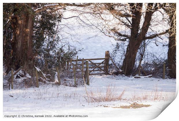 Gate at the Bottom of Snow Covered Fields Print by Christine Kerioak