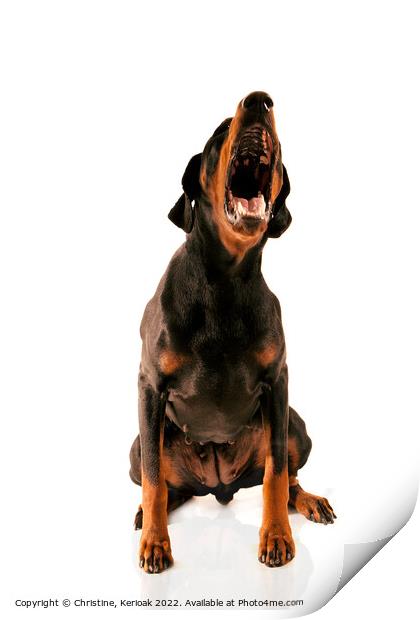 Noisy Dobermann Print by Christine Kerioak