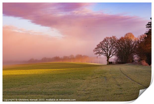 Pink and Gold Misty Landscape Print by Christine Kerioak