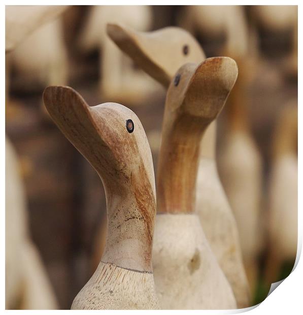Wooden Ducks Print by
