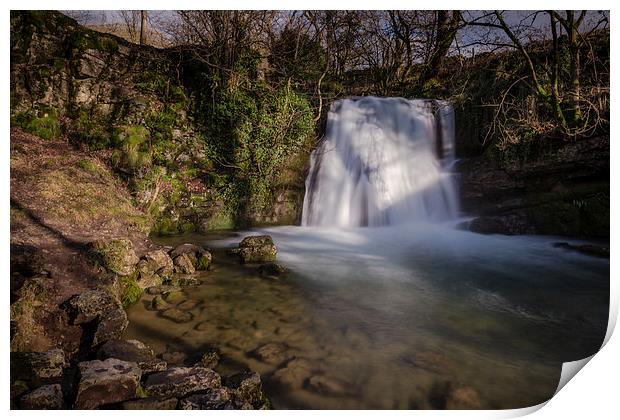 Janet s Foss - Yorkshire Dales Print by Andy McGarry